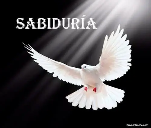 Oración al Espíritu Santo pidiendo sabiduría