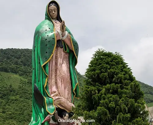 Virgen de Guadalupe Imagen